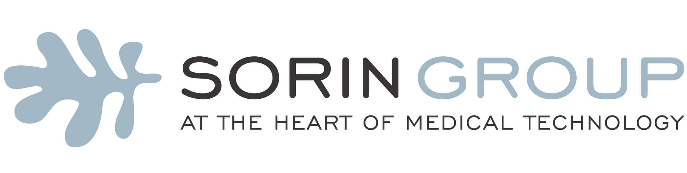 Sorin Group rec